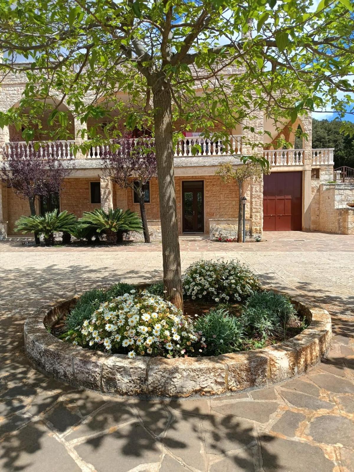 Villa Lisi Selva Di Fasano Exterior photo